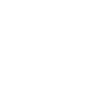 Feather PNG