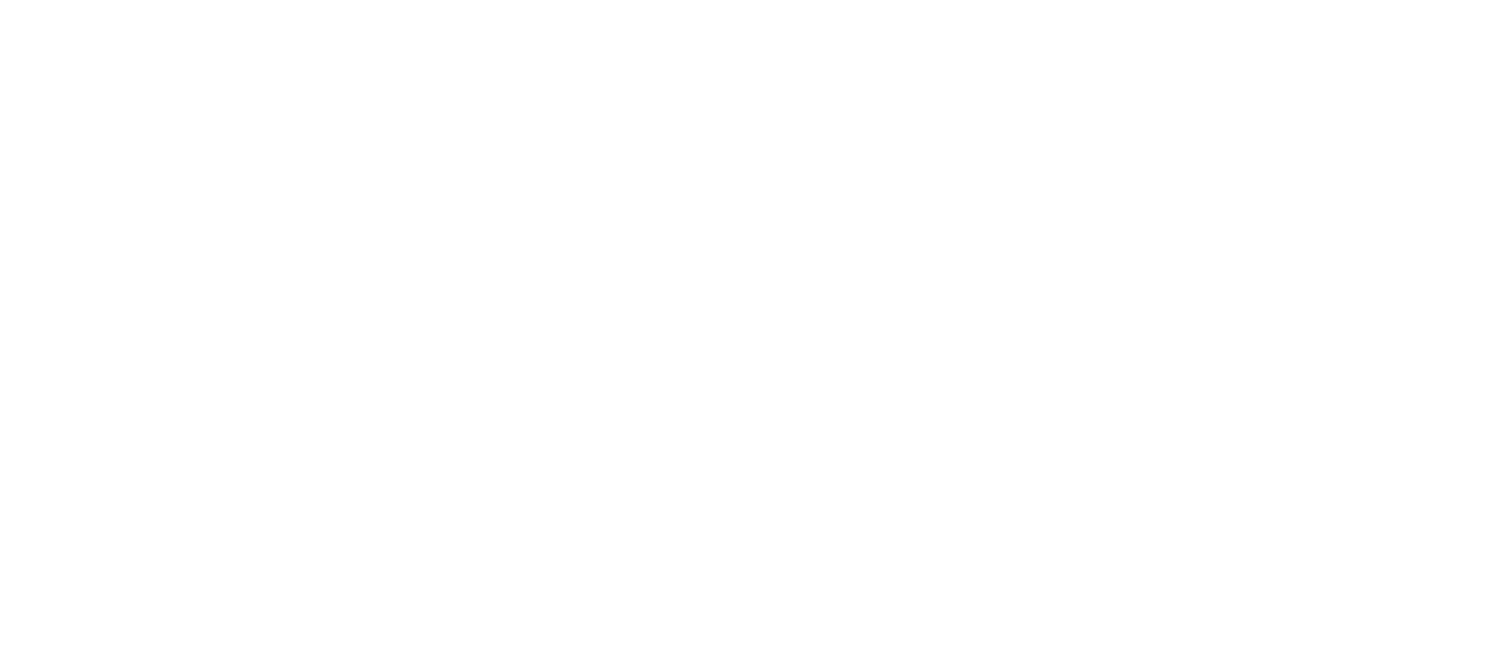 Feather Transparent PNG Image