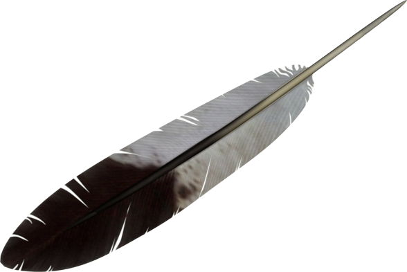 Feather Transparent PNG Image