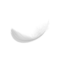 Feather PNG