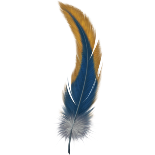 Feather Transparent PNG Image