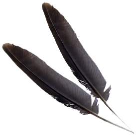 Feather Transparent PNG Image