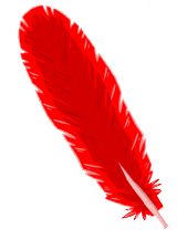 Red feather Transparent PNG Image