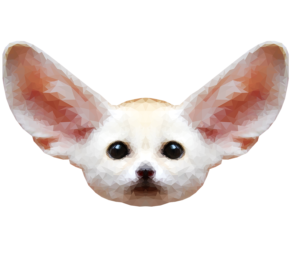 Fennec Fox Free Download PNG Image