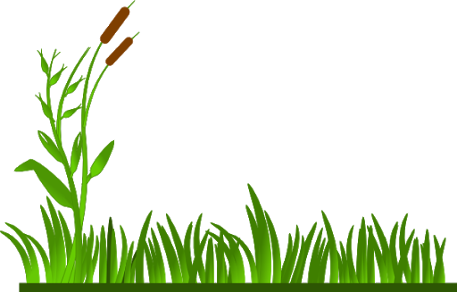 Field Grass Agriculture Free Download PNG HD PNG Image