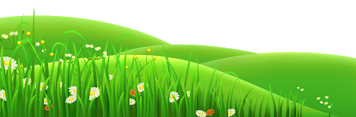 Field Grass Landscape PNG Download Free PNG Image