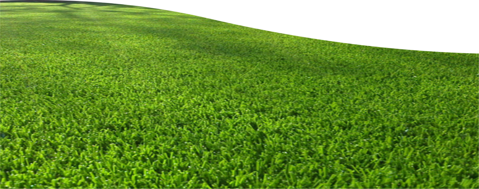 Field Grass Landscape PNG Image High Quality PNG Image