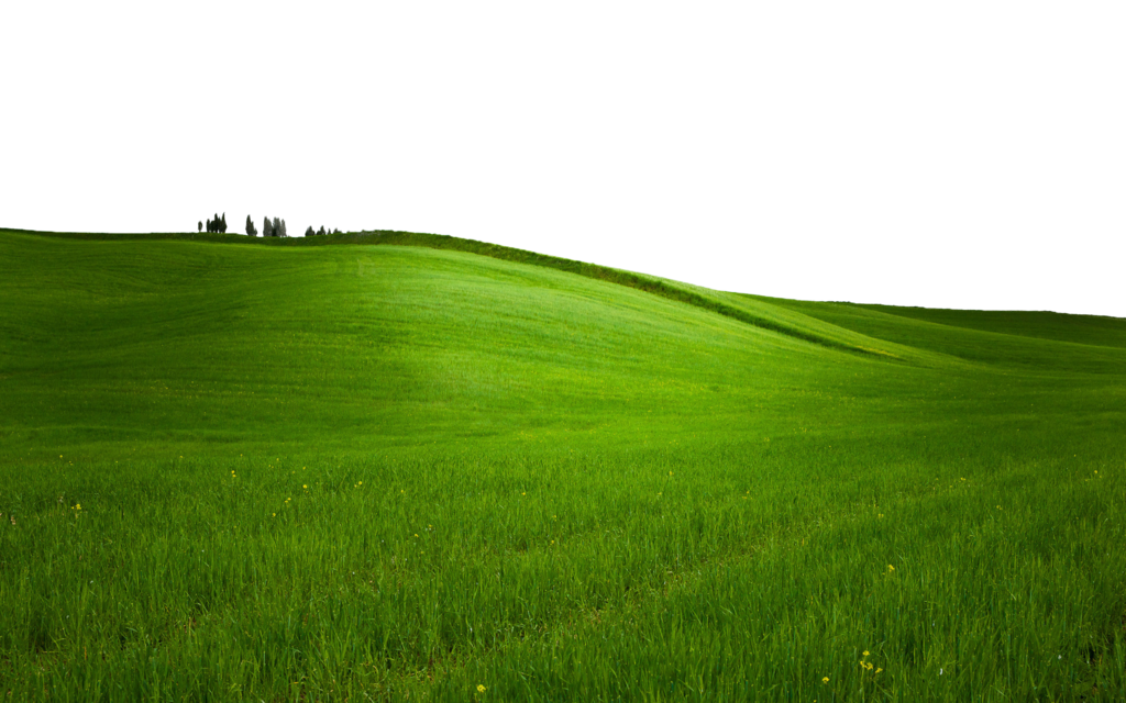 Field Green Landscape PNG Download Free PNG Image