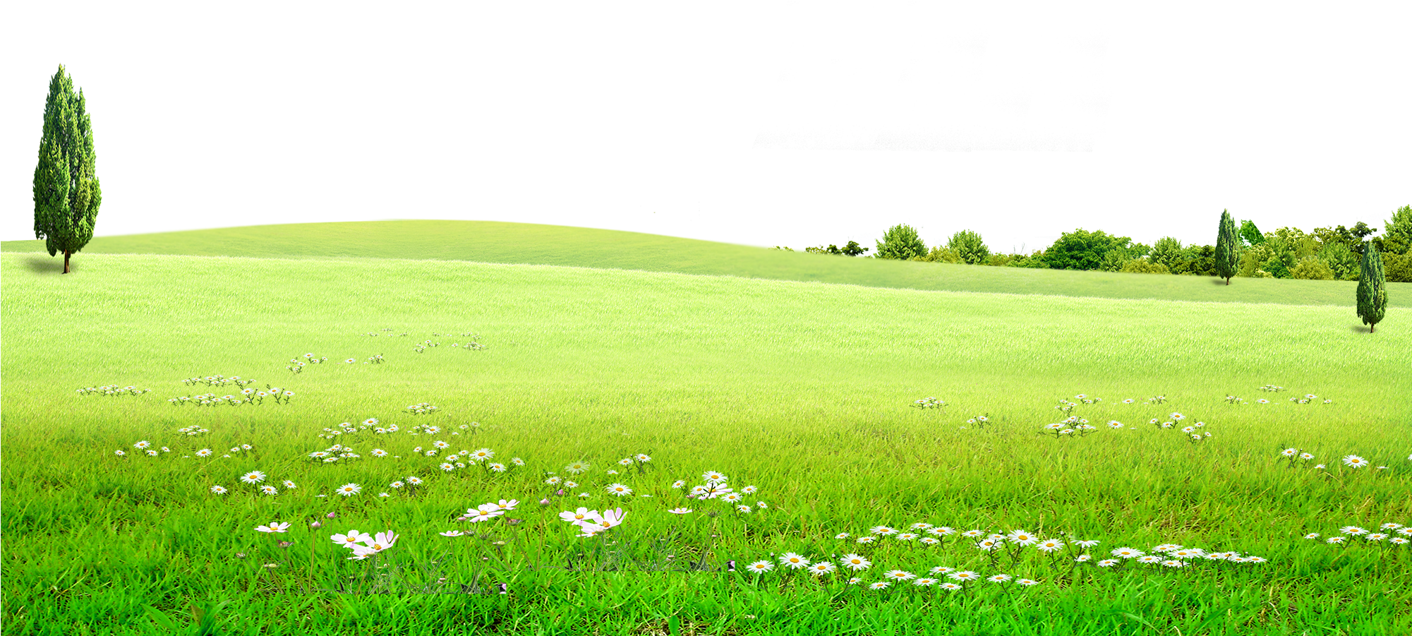 Field Green Landscape HQ Image Free PNG Image