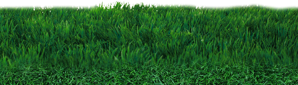 Field Grass Mat Download HQ PNG Image