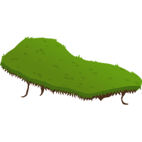 Field Grass Mat Photos Free Download Image Transparent PNG Image