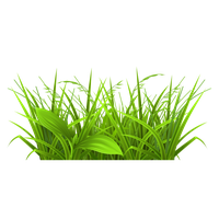 Download Field Free PNG photo images and clipart | FreePNGImg