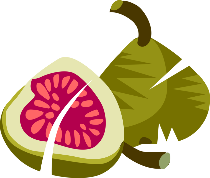 Green Fig Free Transparent Image HD PNG Image