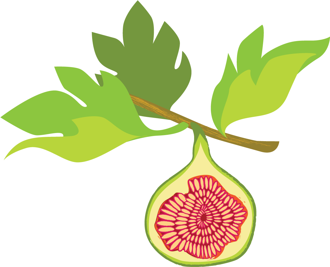 Leaves Fig PNG Image High Quality PNG Image