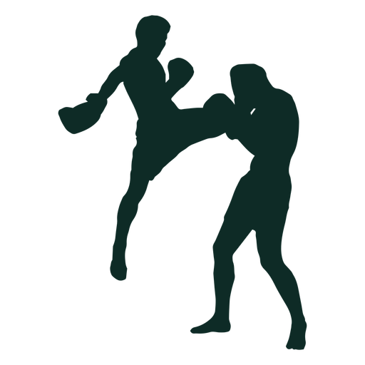 Taekwondo Silhouette Fighting HD Image Free PNG Image