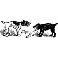 Fight Photo PNG