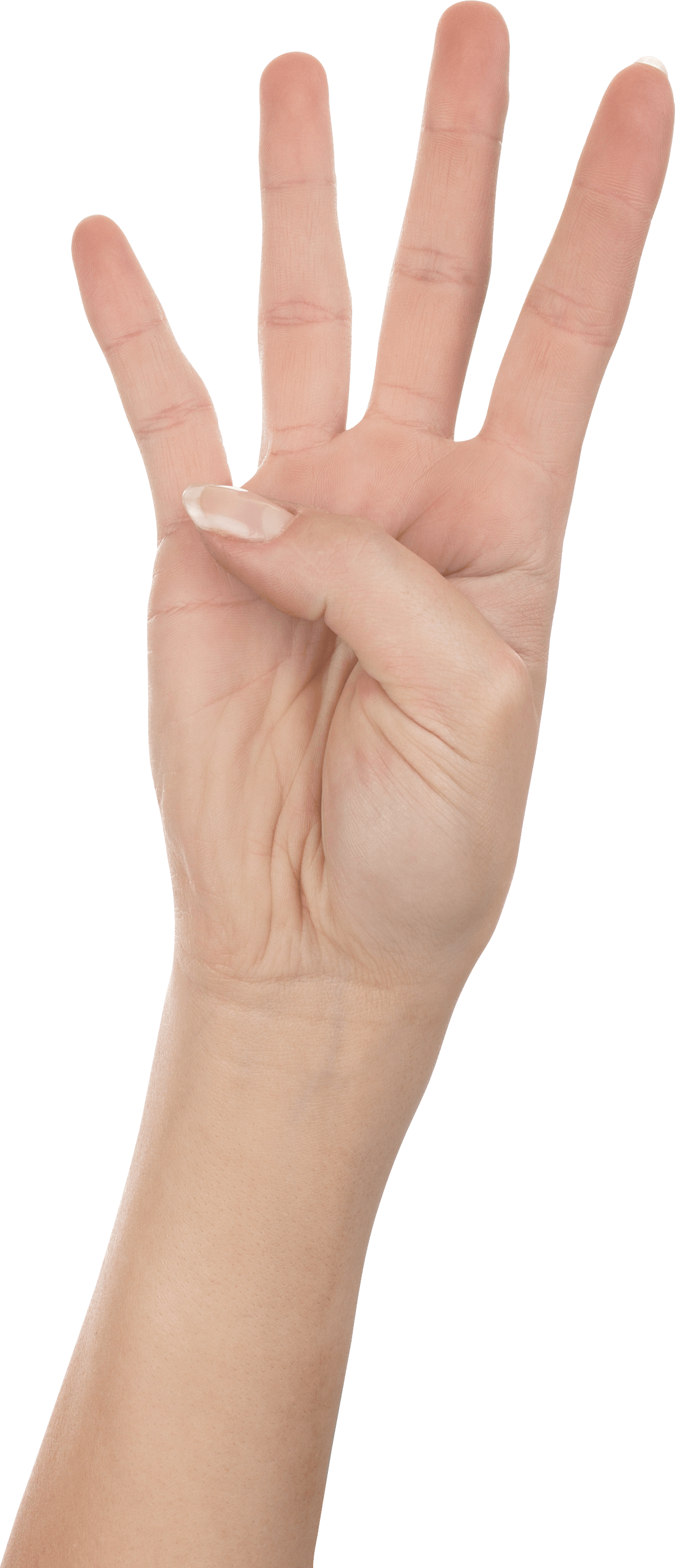 Four Fingers Png Image PNG Image