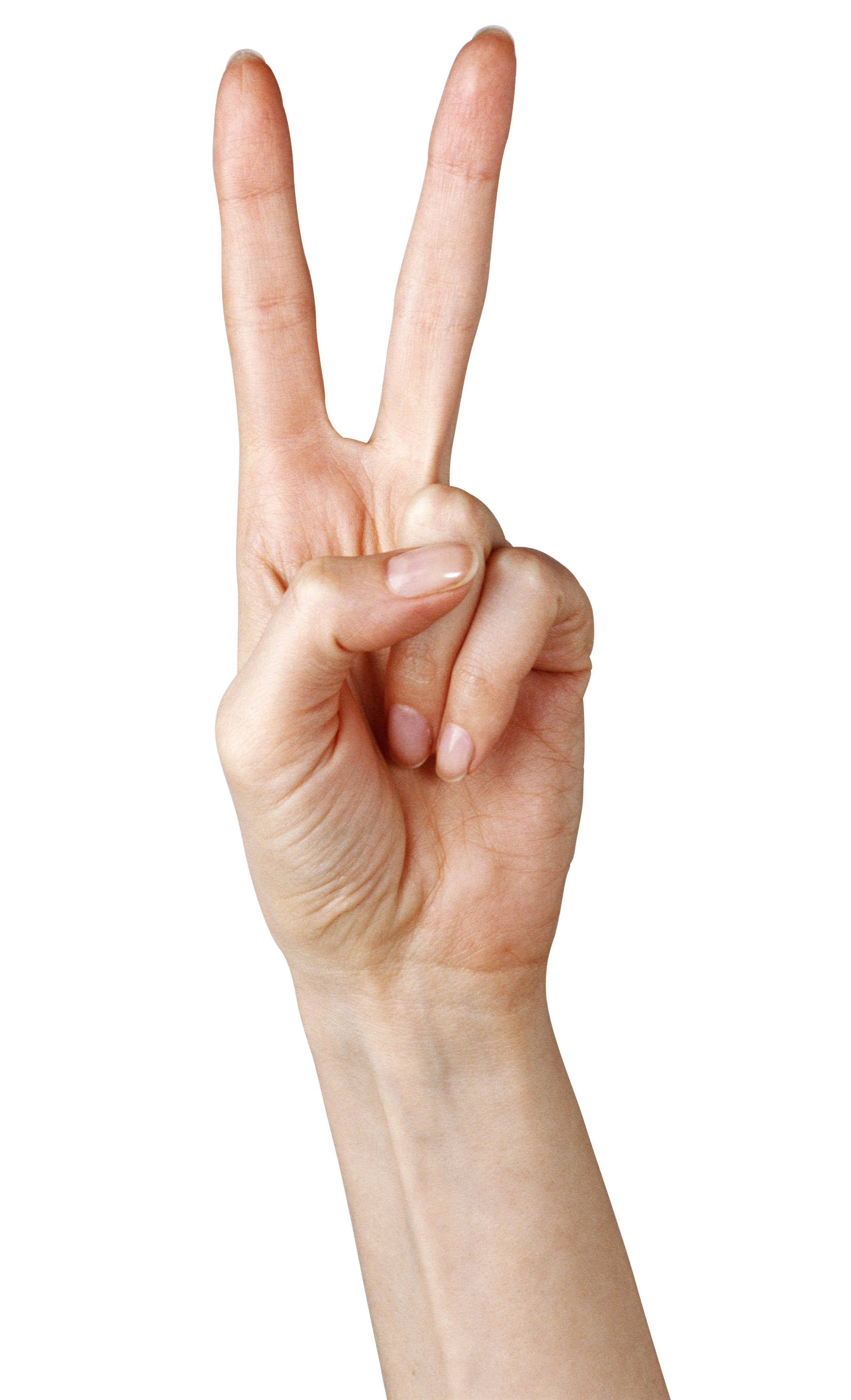 Fingers Png Clipart PNG Image