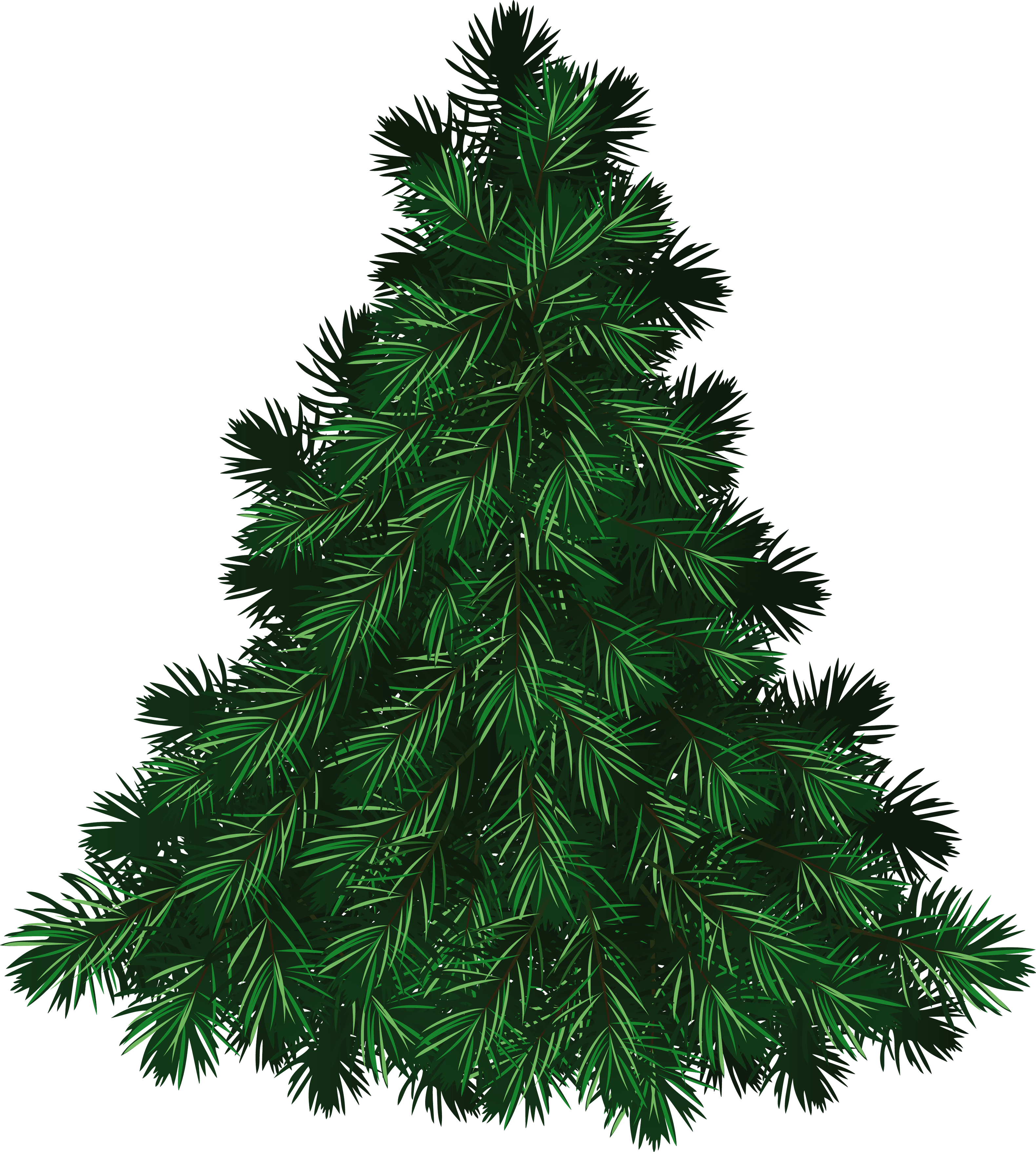 Green Fir-Tree Png Image PNG Image