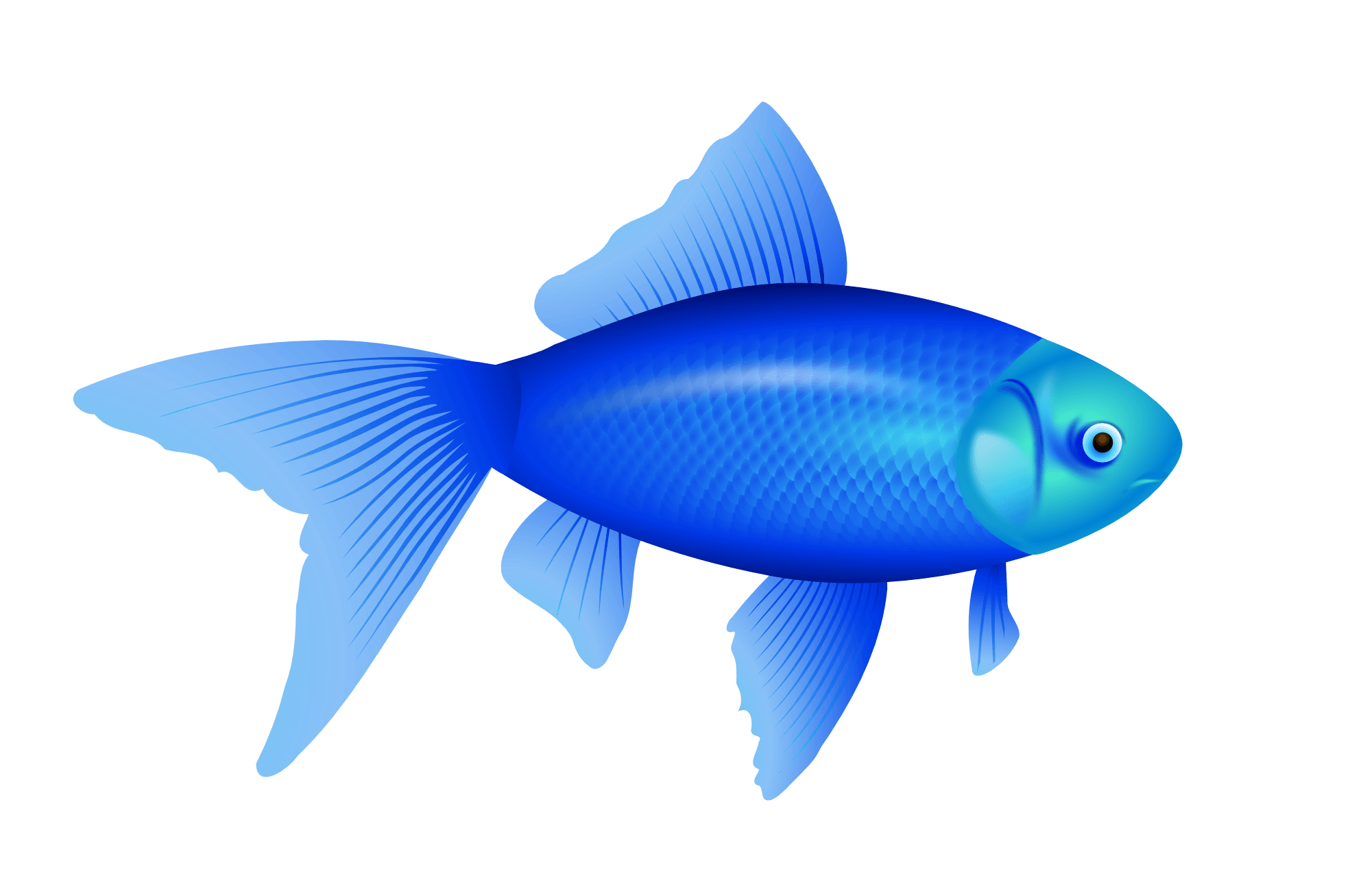 Blue Fish Png Image PNG Image