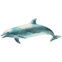 Ocean Fish Image PNG
