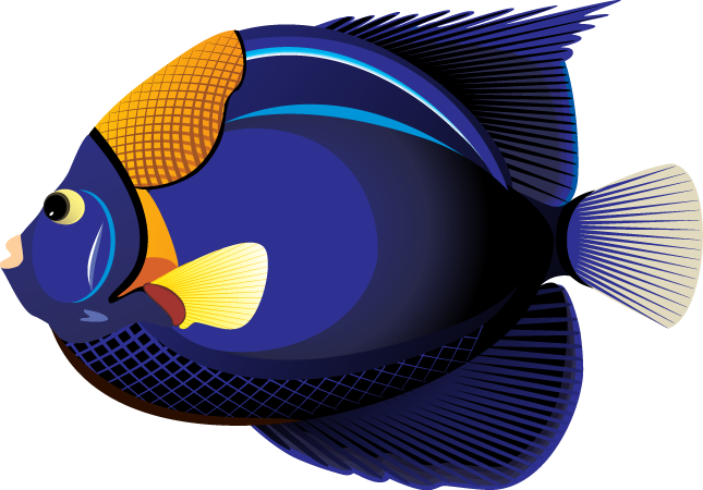 Ocean Fish Clipart PNG Image