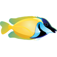 Download Ocean Fish Clipart HQ PNG Image | FreePNGImg