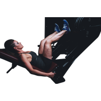 Workout Gym Female Fitness PNG File HD PNG