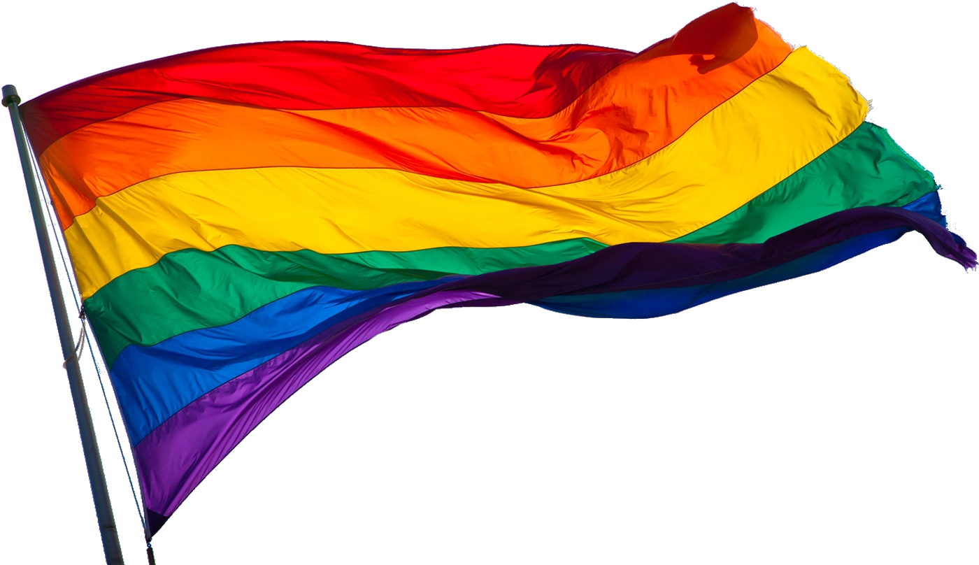 Lgbt flag Transparent PNG Image