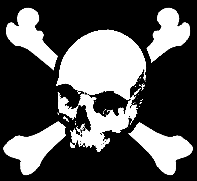 Pirate flag Transparent PNG Image