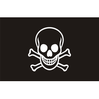 Pirate flag PNG