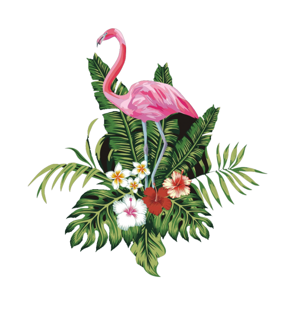 Vector Flamingo Bird Flower Free Transparent Image HQ PNG Image