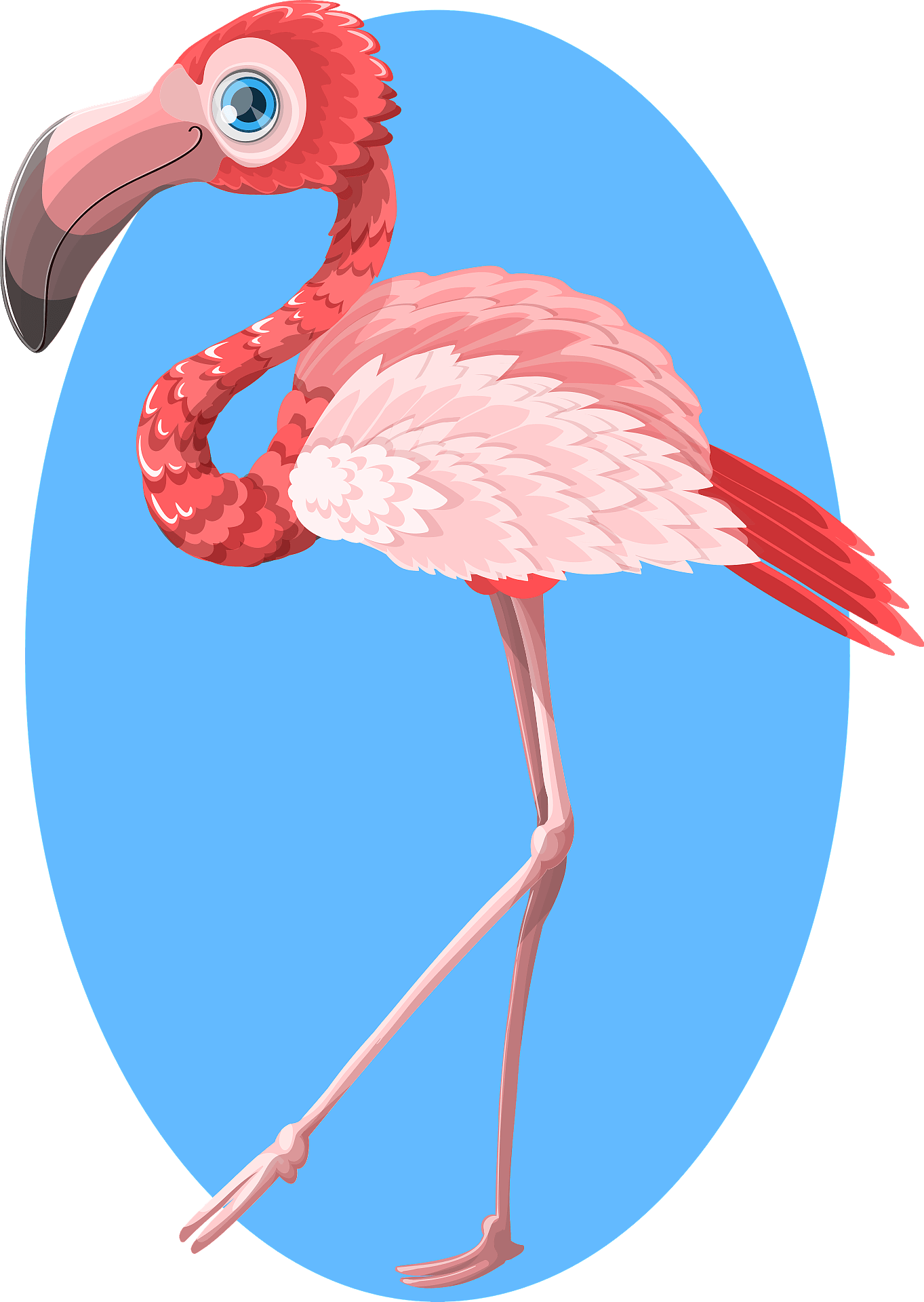 Vector Pink Flamingo Bird Free Clipart HD PNG Image