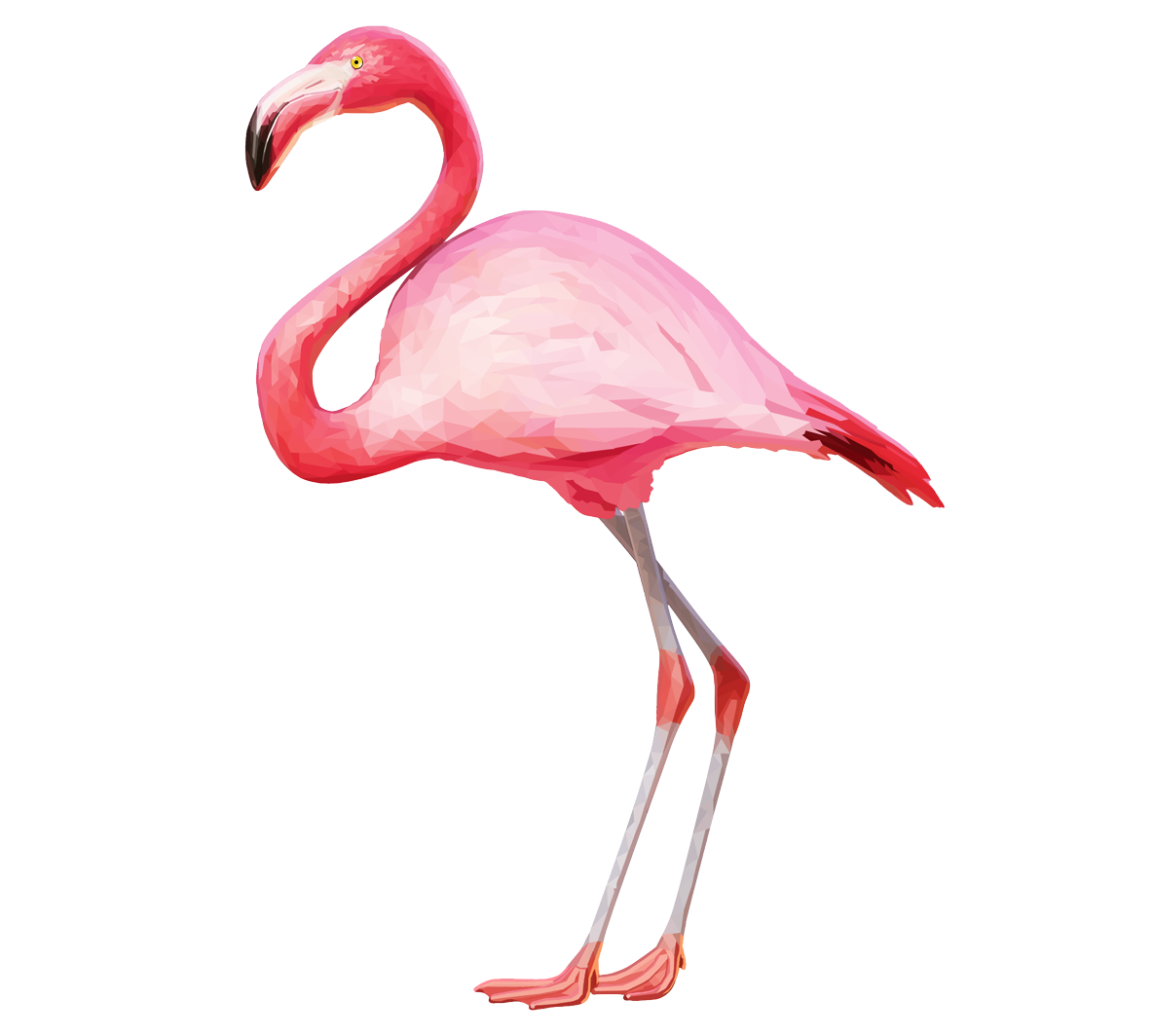 Vector Flamingo Bird Free Clipart HQ PNG Image