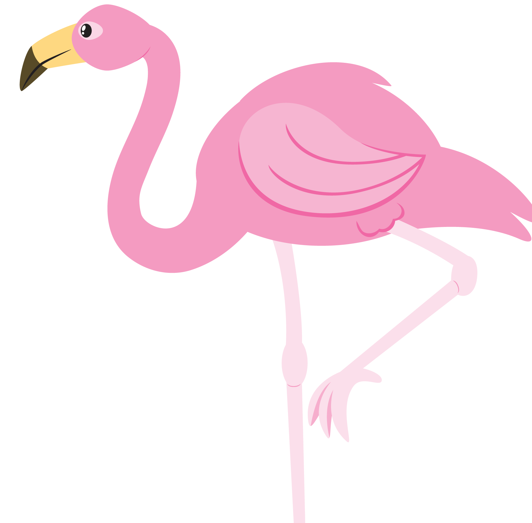 Pink Flamingo Bird Vector Free Transparent Image HD PNG Image