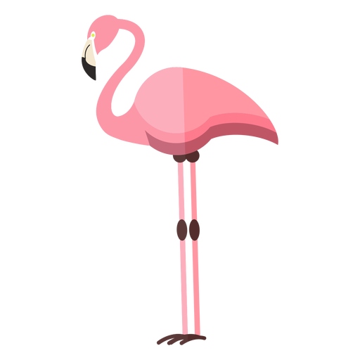 Standing Flamingo Bird Vector PNG File HD PNG Image