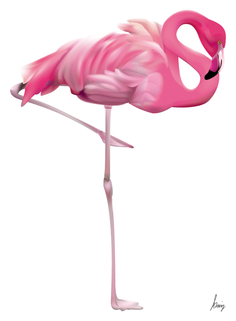 Flamingo Transparent Transparent PNG Image