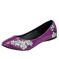 Flats Shoes PNG
