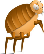 Flea Transparent PNG Image
