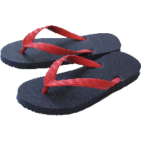 Flip-flops PNG