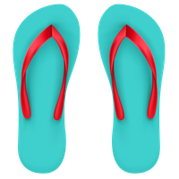 Flip-flops PNG