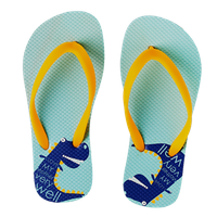 Flip-flops PNG