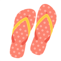 Flip-flops PNG