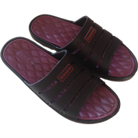 Flip-flops PNG