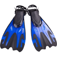 Flippers PNG