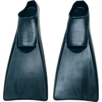 Flippers PNG