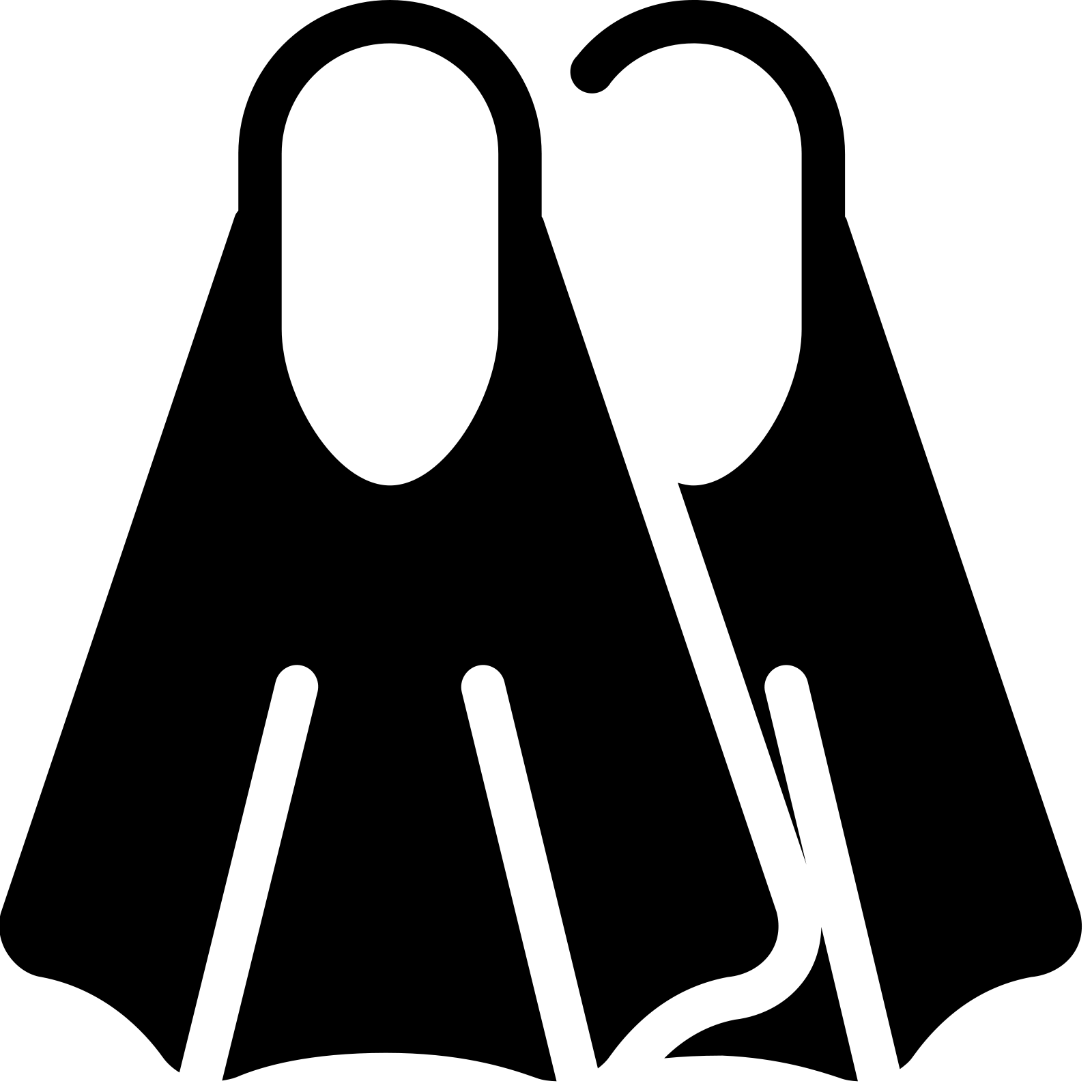 Flippers Transparent PNG Image
