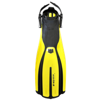 Flippers Transparent PNG Image