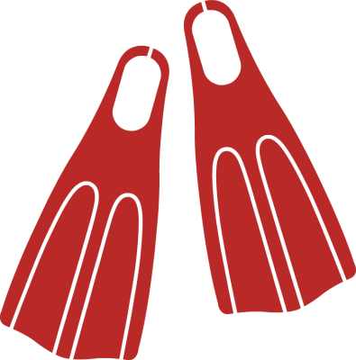 Flippers Transparent PNG Image