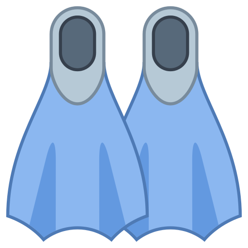 Flippers Transparent PNG Image